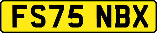 FS75NBX