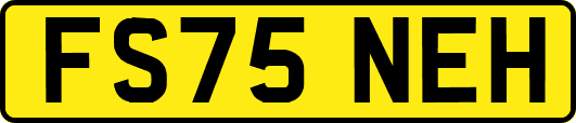 FS75NEH