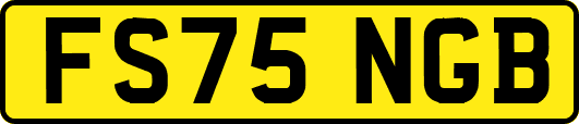 FS75NGB