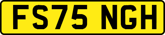 FS75NGH