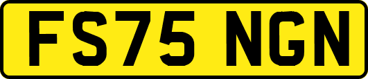 FS75NGN