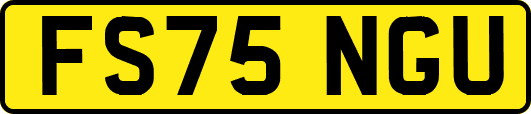 FS75NGU