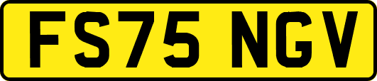 FS75NGV