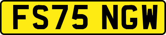 FS75NGW