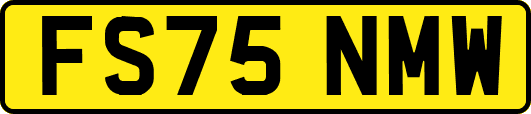 FS75NMW