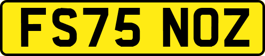 FS75NOZ