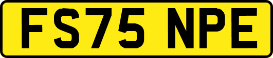 FS75NPE