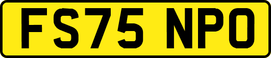 FS75NPO