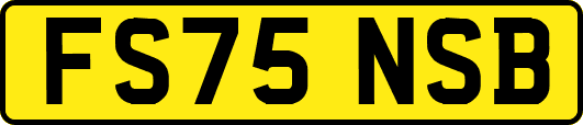 FS75NSB