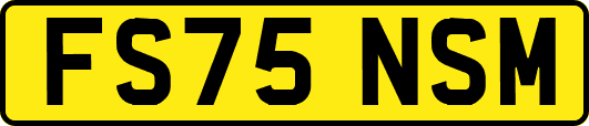 FS75NSM