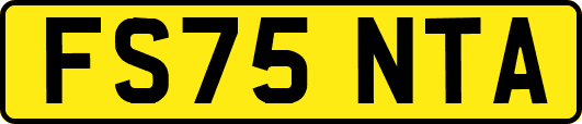 FS75NTA