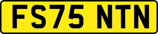 FS75NTN