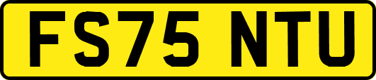 FS75NTU