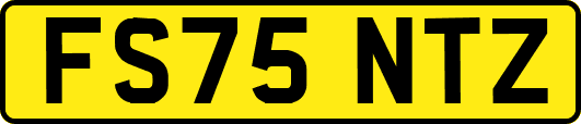 FS75NTZ
