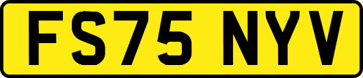 FS75NYV