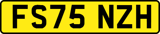 FS75NZH