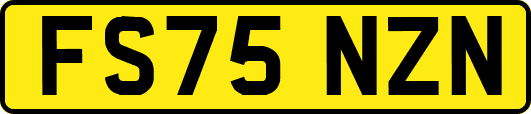 FS75NZN