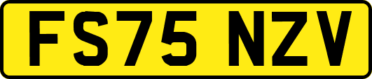 FS75NZV
