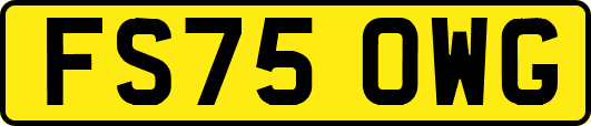 FS75OWG
