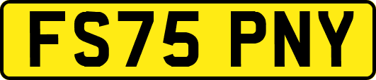 FS75PNY