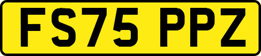FS75PPZ
