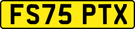 FS75PTX