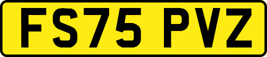 FS75PVZ