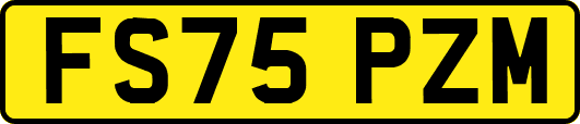 FS75PZM
