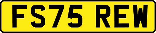FS75REW