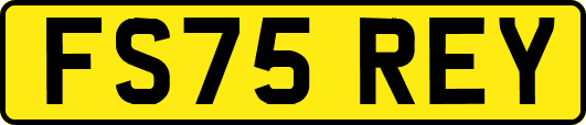 FS75REY