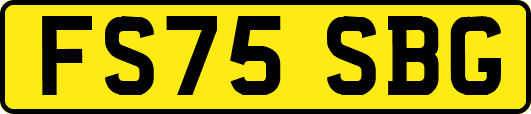 FS75SBG