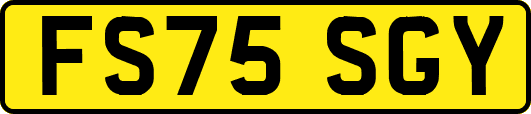 FS75SGY