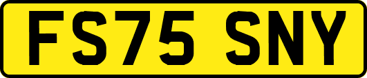 FS75SNY