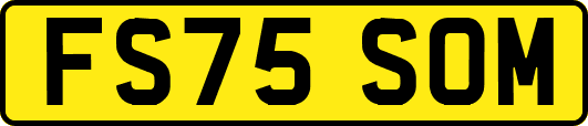 FS75SOM