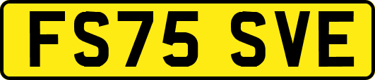 FS75SVE