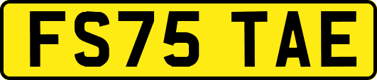 FS75TAE