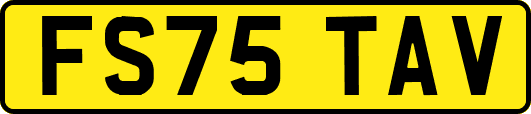 FS75TAV