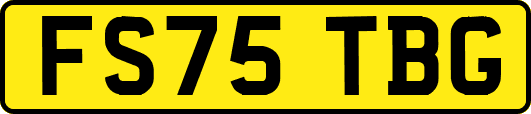 FS75TBG