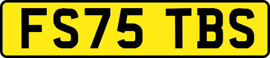 FS75TBS