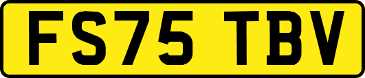 FS75TBV