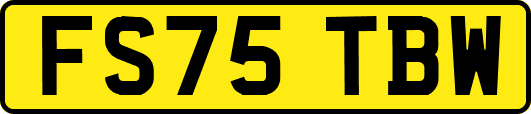 FS75TBW