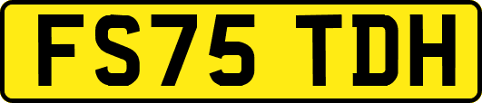FS75TDH