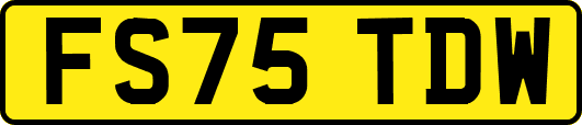 FS75TDW