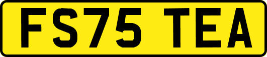 FS75TEA