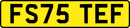 FS75TEF