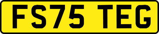 FS75TEG