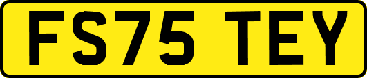 FS75TEY