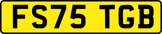 FS75TGB