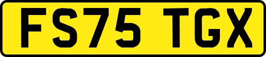 FS75TGX