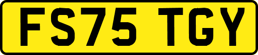 FS75TGY